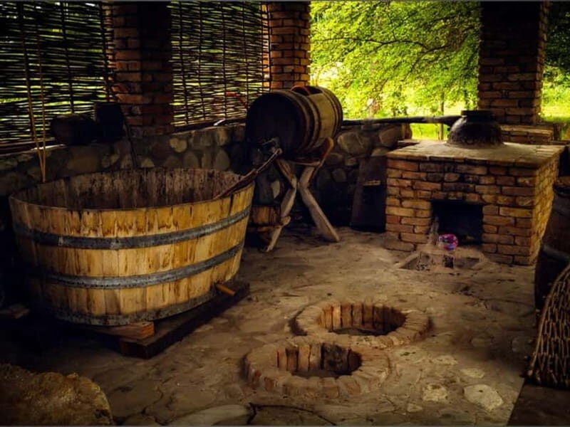 Land of the Sun Full Day Wine and Grapes Tour in Kakheti - Key Points