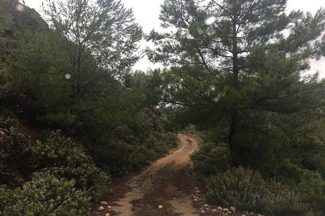 Land Rover Safari in Rhodes North Route - A Closer Look at the Rhodes Land Rover Safari