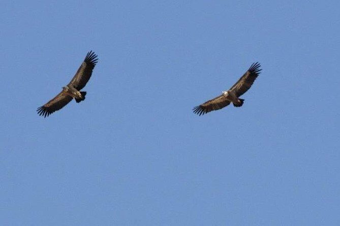 Land Rover Safari Katharo Route - Who Should Consider This Tour?