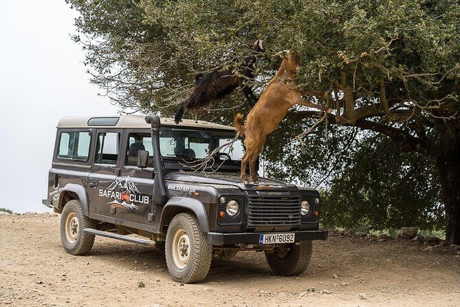 Land Rover Safari Minoan Route with driver and lunch - Why Choose the Land Rover Safari Minoan Route?