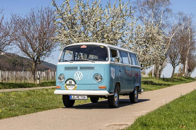Landau: Tour in a vintage VW bus through the Palatinate wine country - The Experience: A Ride Through the Palatinate in Style
