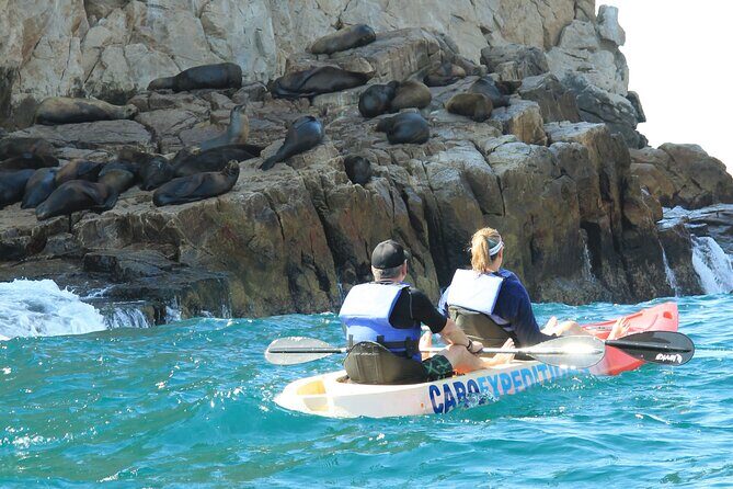 Land's End Snorkel and Kayak Experience! Round Transportation From Los Cabos - What You Can Expect from the Land’s End Snorkel and Kayak Tour