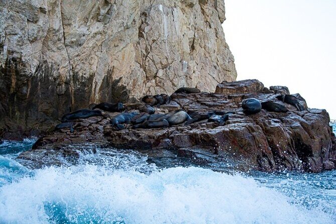 Land's End Snorkel and Kayak Experience! Round Transportation From Los Cabos - Who Is This Tour Best Suited For?