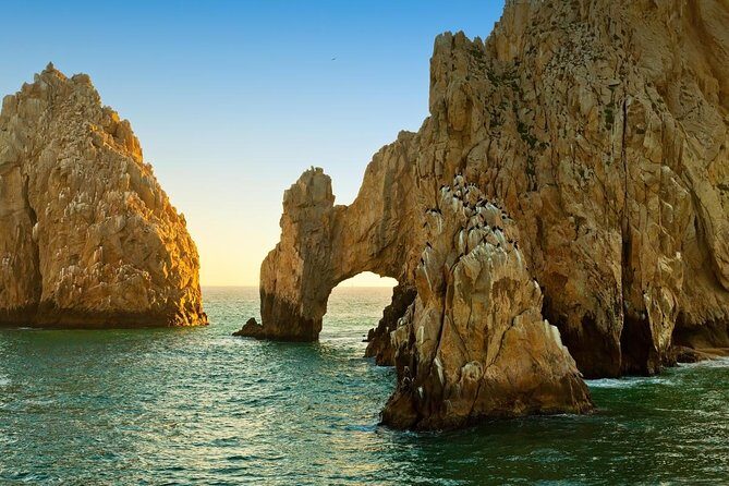 Land's End & Snorkel Tour in a Glass Bottom Boat (VisitA Cabo) - What Is Included and what to Expect