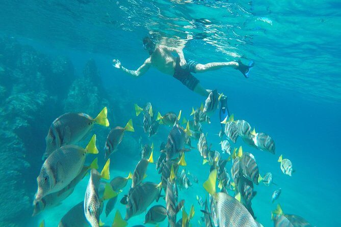Land's End & Snorkel Tour in a Glass Bottom Boat (VisitA Cabo) - Meeting Point and Logistical Considerations