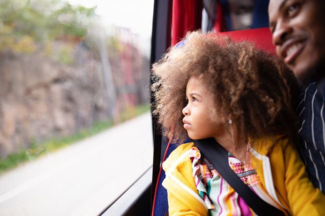 Landvetter Airport Bus Transfer Departure - Who Should Consider This Transfer