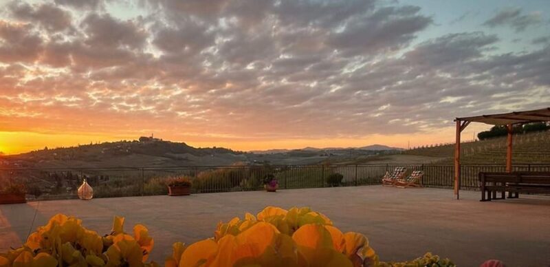 Langhe e Monferrato: Amerio Vincenzo Wine Tour and Tasting - A Closer Look at the Amerio Vincenzo Wine Tour