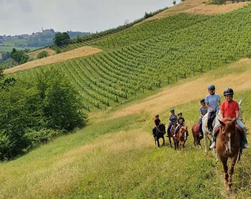 Langhe: Horse Riding in the Vineyards - The Reviews Speak Volumes