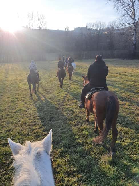 Langhe: Horse Riding in the Vineyards - Is This Tour Worth It?