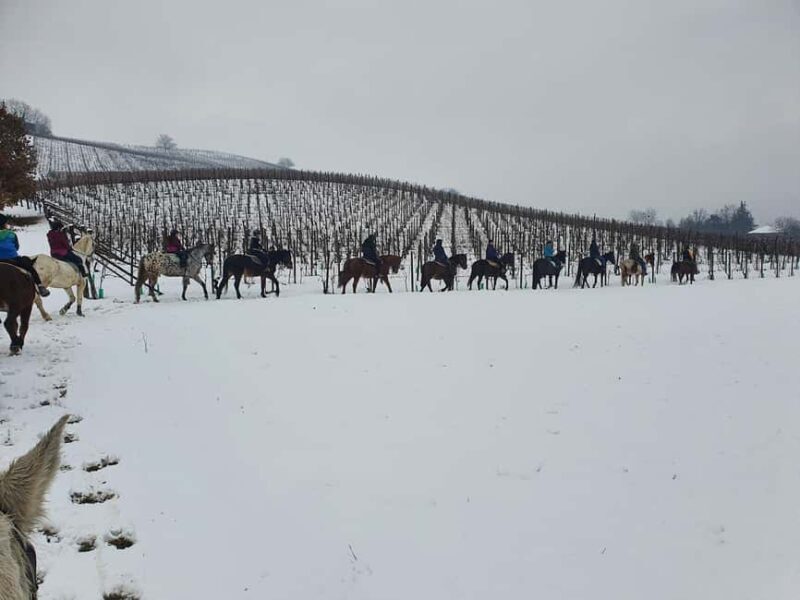 Langhe: Horse Riding in the Vineyards - Final Thoughts