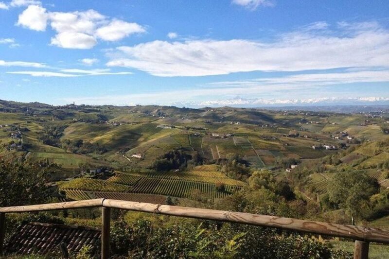 Langhe & Monferrato: Vineyard Tour and Wine Tasting - FAQs