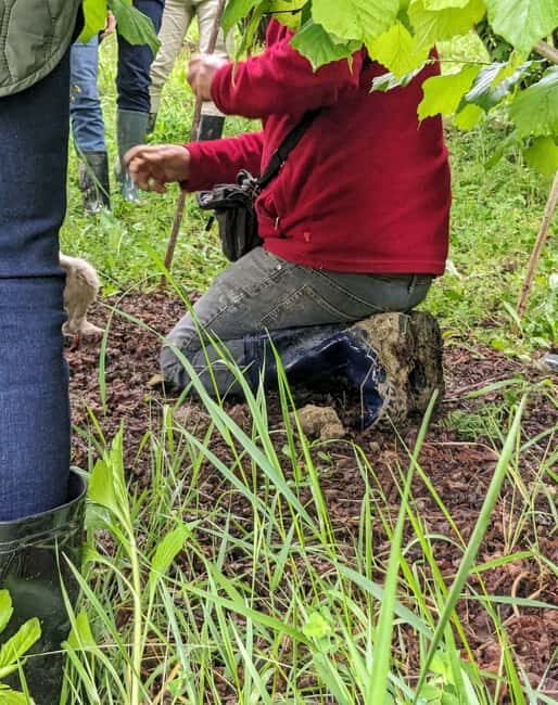 Langhe: Truffle Hunt with Local Trifulau and Dog - The Practicalities: Booking, Cost, and What to Wear