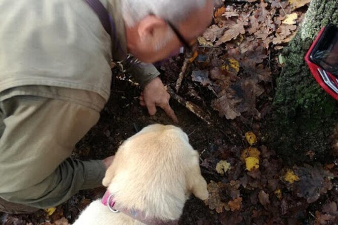 Langhe Truffle hunting Experience - The Value of the Tour