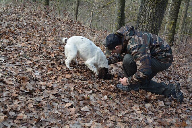 Langhe Truffle hunting Experience - Authenticity and Authentic Experience