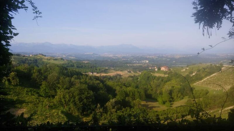 Langhe: Visit to the Vineyard and Historic Cellars with Tasting - What to Expect During the Tour