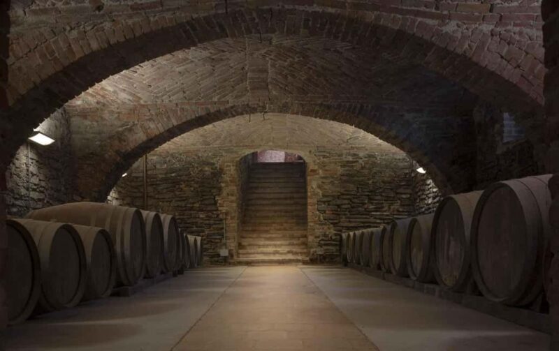 Langhe: Visit to the Vineyard and Historic Cellars with Tasting - Practical Considerations