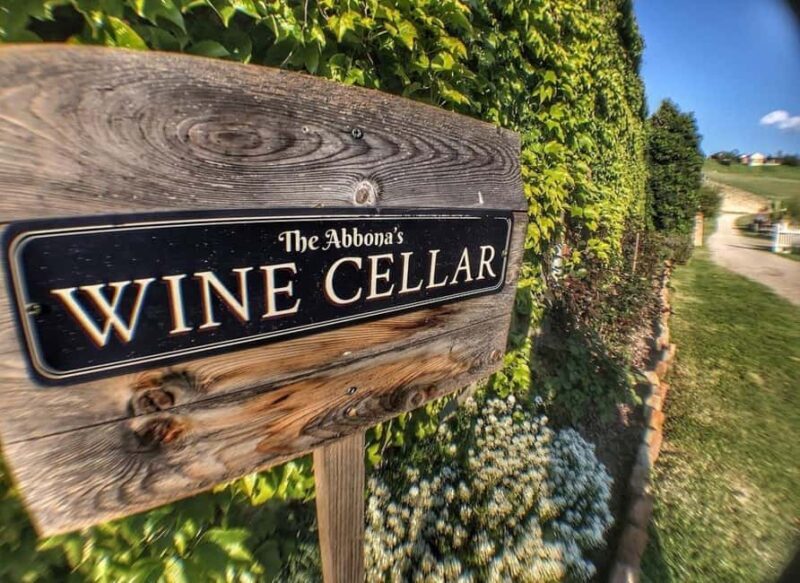 Langhe: Wine and Food Tasting Experience - Exploring the Experience in Detail