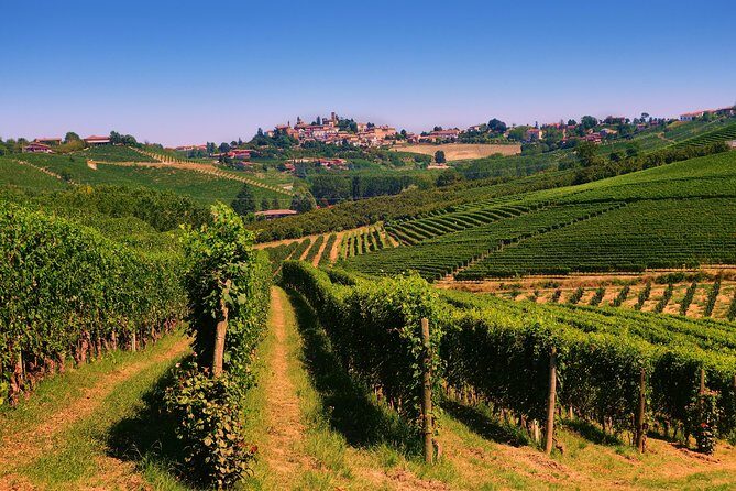 Langhe Wine & Food Tour from Turin: Barolo and More - Who Should Consider This Tour?