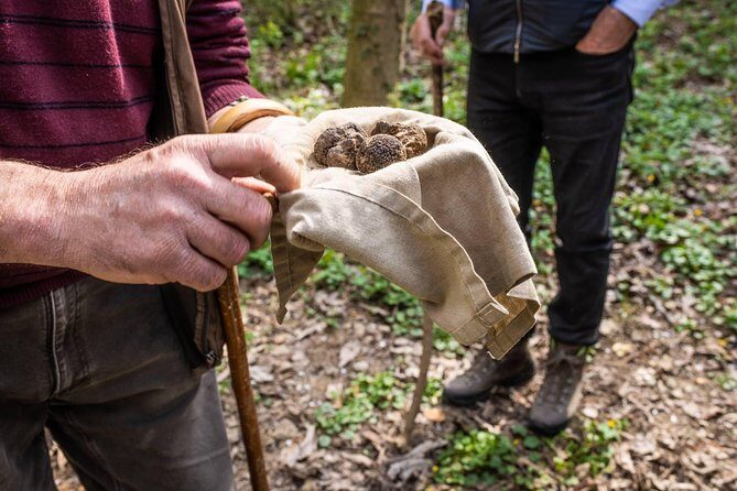 Langhe Wine Tour and Tasting - One day with a Somm - FAQs