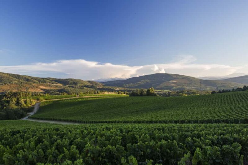 Languedoc: Heritage Tour & Tasting at Domaine de Baronarques - Practical Considerations