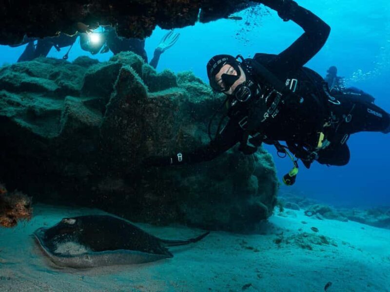 Lanzarote: 2-Dive Package for Certified Divers - Key Points