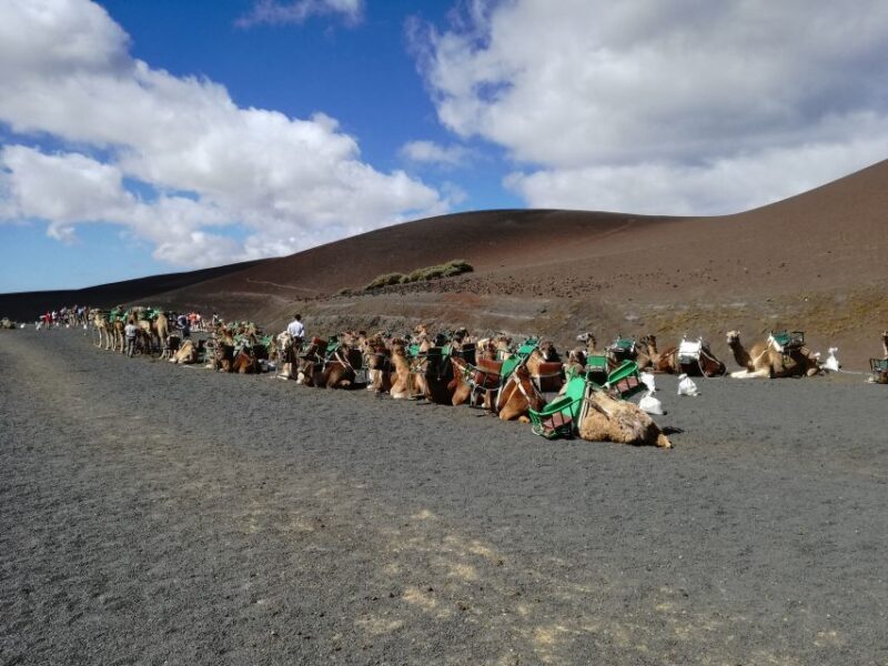 Lanzarote: 5-Hour Timanfaya National Park Southern Tour - FAQ