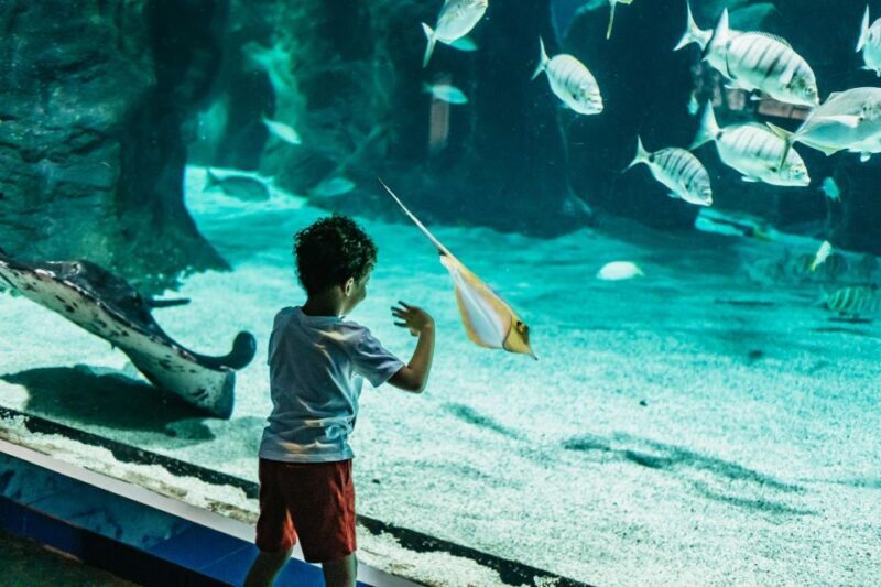 Lanzarote: Aquarium Entry Ticket - Key Points