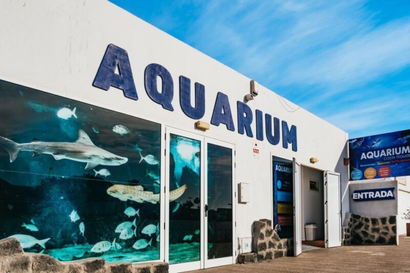 Lanzarote: Aquarium Entry Ticket - What to Expect at Lanzarote Aquarium