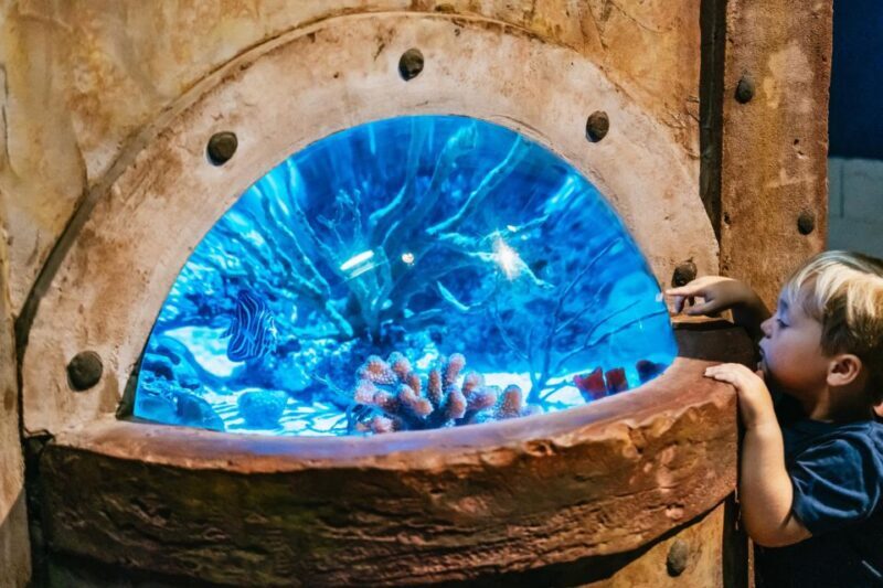 Lanzarote: Aquarium Entry Ticket - Who Will Love This Experience?