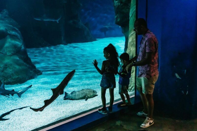 Lanzarote: Aquarium Entry Ticket - FAQ