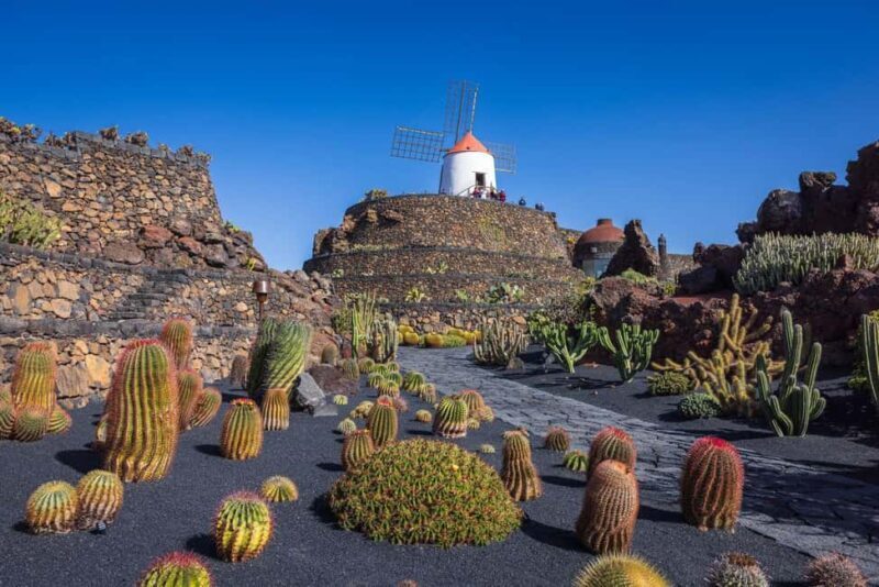 Lanzarote: César Manrique Art and Nature Private Tour - Who Would Love This Tour?