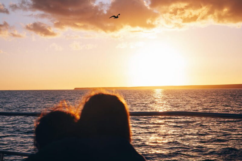 Lanzarote: Dolphin-Watching Sunset Cruise with Transfers - Key Points