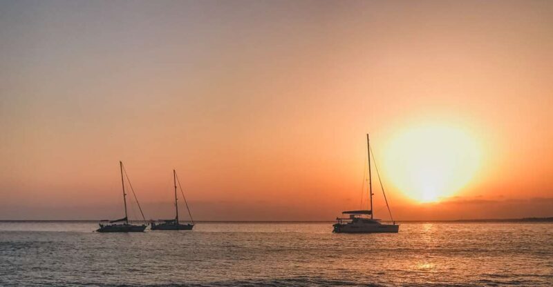 Lanzarote: Dolphin-Watching Sunset Cruise with Transfers - The Real Value of This Experience