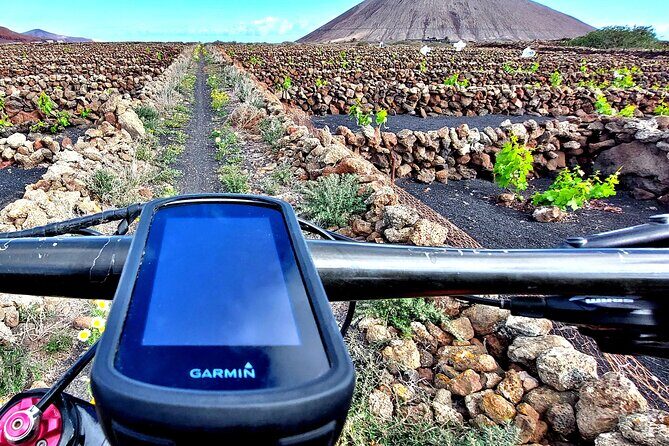 Lanzarote E-Bike Tour: Volcano Craters & Scenic Vineyards - Final Thoughts
