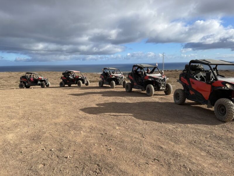 Lanzarote: Guided Can-Am Trail Buggy Tour - Who Will Love This Tour?