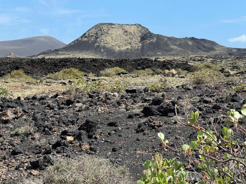 Lanzarote: Guided Hike discover volcano history and culture - A Deep Dive into the Lanzarote Guided Hike Experience