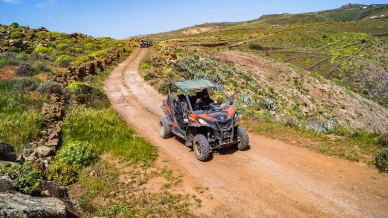 Lanzarote: Guided Off-Road Volcano Buggy Tour - What to Expect from the Lanzarote Buggy Tour