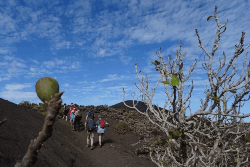 Lanzarote: Hike Across Timanfaya's Volcanic Landscapes - FAQ