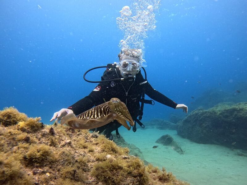 Lanzarote: Intro to Diving Experience for Beginners - The Experience: Step-by-Step