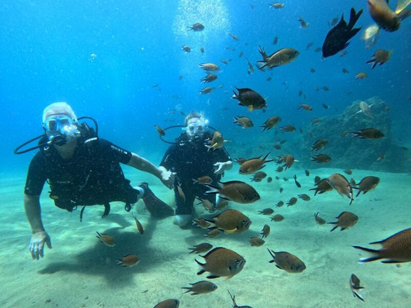 Lanzarote: Intro to Diving Experience for Beginners - The Value of This Experience