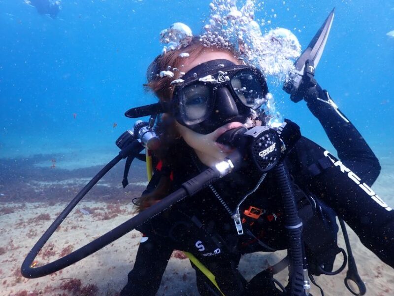 Lanzarote: Intro to Diving Experience for Beginners - Who Will Love This?