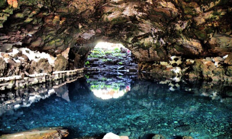 Lanzarote: Jameos del Agua & North Island for Cruise Guests - Who Will Appreciate This Tour