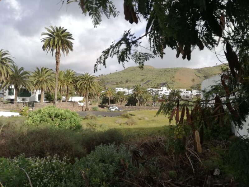 Lanzarote: Jameos del Agua & North Island for Cruise Guests - Final Thoughts