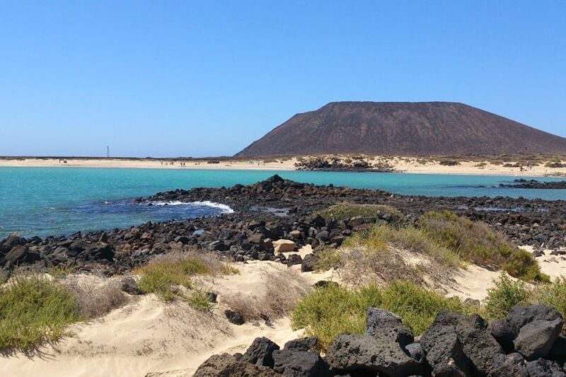 Lanzarote: Lobos Island Half-Day Dolphin Watching Trip - Is This Tour Right for You?