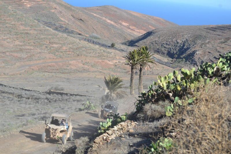 Lanzarote: Mix tour Guided Buggy Volcano Tour 4 seater - The Scenic Views and Photo Opportunities