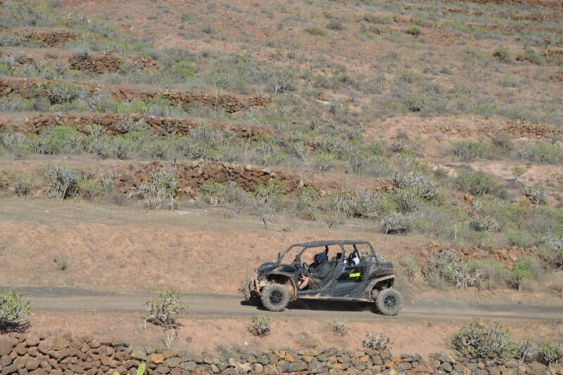 Lanzarote: Mix tour Guided Buggy Volcano Tour 4 seater - Who Is This Tour For?