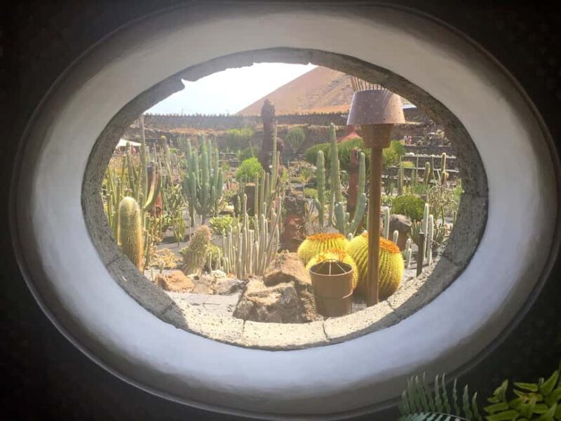 Lanzarote North Premium: Cueva Verdes, Jameos Agua, Mirador, and Cactus Garden - Who Should Consider This Tour?