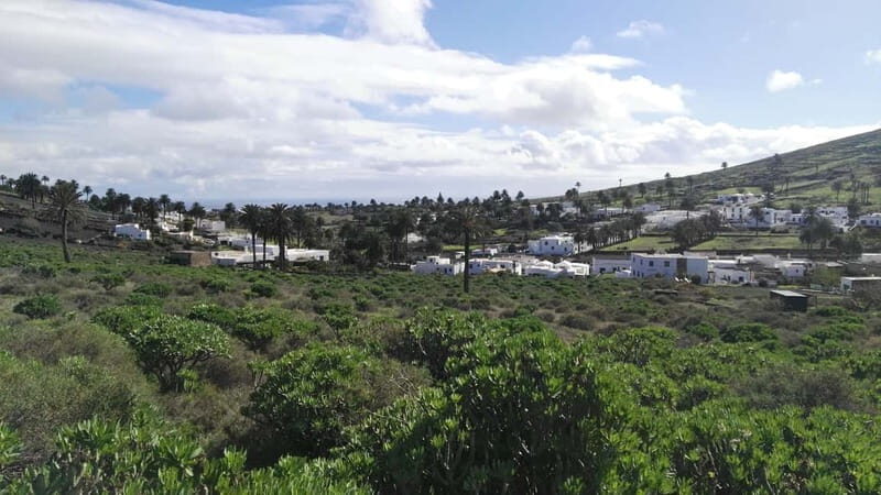 Lanzarote: Northern Cliffs & Valleys Walking tour - Key Points