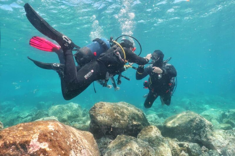 Lanzarote: Scuba Diving Refresher Course - The Value of the Experience: Is It Worth It?