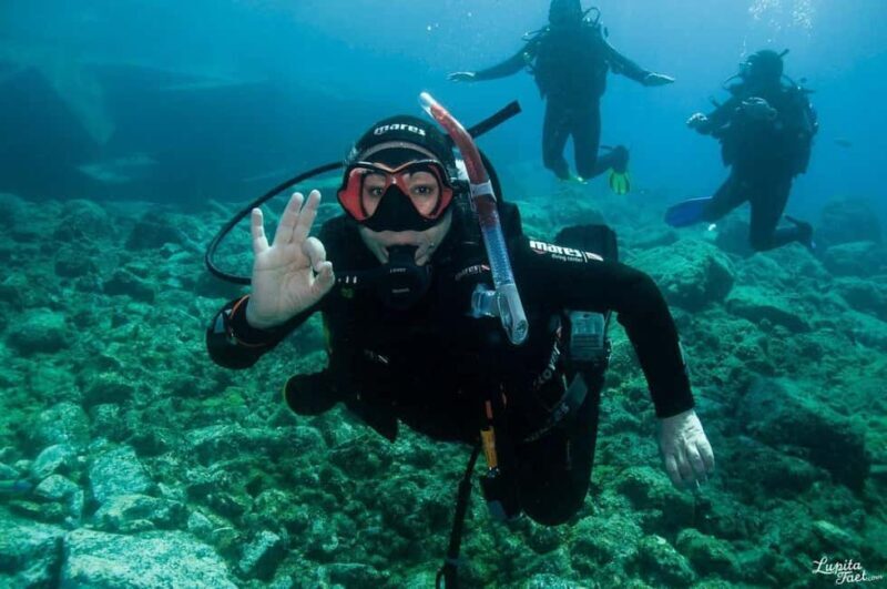 Lanzarote: Snorkeling Tour - Why We Think This Tour Could Be a Great Choice